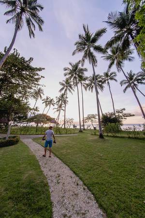 Ein Mann im Sonnenuntergang auf einer tropischen mit Palmen bewachsener Insel Punta Bulata