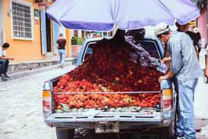 Ein Mann verkauft Rambutans von der Ladefläche seines Pick-Ups in Honduras
