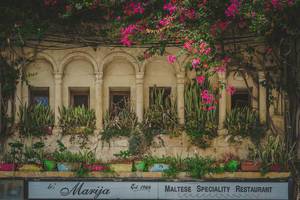 Ein mit Pflanzen geschmückter Balkon eines Restaurants in Malta