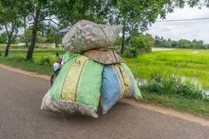 Ein Motorrad schleppt riesige Säcke mit Müll in Siem Reap, Cambodia