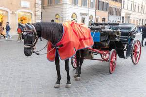 Ein Pferd zieht eine Kutsche in Rom