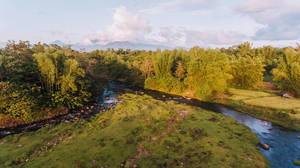 Eine Flussgabelung mit umwerfender Landschaft in Negros Occidental