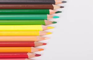 Eine Reihe Buntstifte vor weißem Hintergrund: rot, gelb, grün, braun