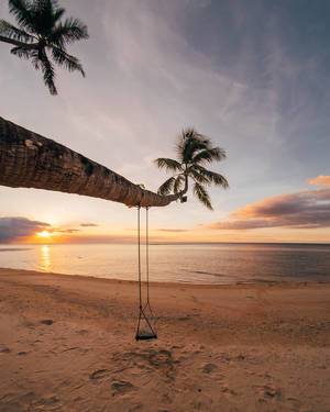 Eine Schaukel an einer Palme an einem exotischen Strand bei Sonnenuntergang