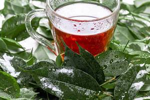 Eine Tasse Tee umgeben von frischen grünen Blättern mit Wassertropfen