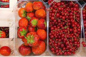 Erdbeeren und Johannisbeeren