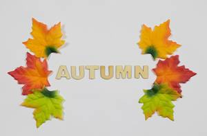 Fall leaves with word autumn
