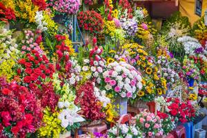 Farbenfroher Straßenstand eines Blumenverkäufers in Ho Chi Minh City im Süden Vietnams