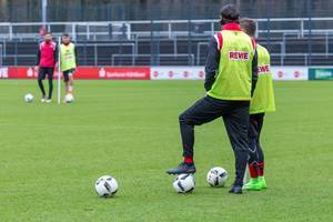 FC Köln: Training am 30.01.2017
