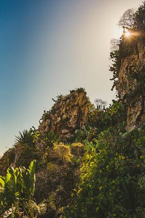 Felsen mit Küstenlinien-Flora im Sonnenuntergang in Sizilien
