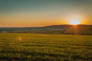 Field at beautiful sunset in South Moravia