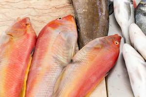 Fischmarkt auf dem Mercado dos Lavradores in Funchal