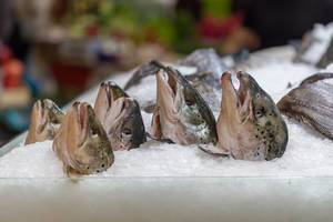 Fish heads in a fish shop at Danilovsky Market in Moscow