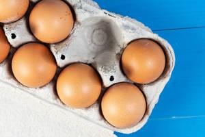Flat lay above Chicken Eggs (Flip 2019)