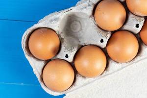 Flat lay above Chicken Eggs