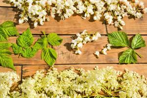 Flowers and herbs from the forest on a wooden background