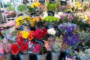 Flowers in Whole Foods Market Boston