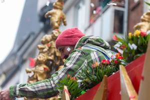 Following the tradition, a man in a red woolly hat throws roses to the people from the float of the leader of the Rose Monday parade in Cologne
