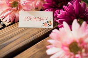FOR MOM note beside pink flowers.DNG