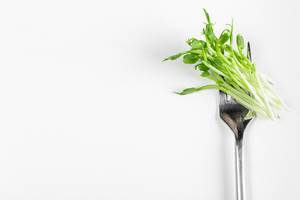 Fork with fresh pea sprouts on a white background. The concept of a healthy diet, free space