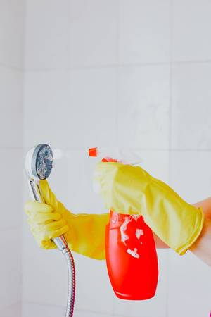 Frau mit gelben Gummihandschuhen säubert den Duschkopf mit Putzmittel für das Bad