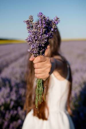Frau mit Lavendel-Blumenstrauß im Feld