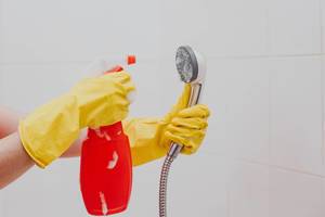 Frauenhand reinigt den Duschkopf mit Putzmittel in einer Sprühflasche