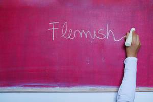 Fremdsprachen: das Wort "Flemish" wird mit Kreide auf einer pinkfarbenen Tafel geschrieben