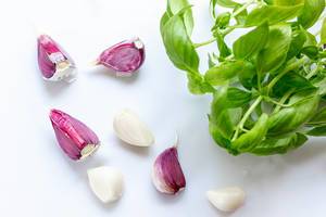Fresh basil with garlic on white background