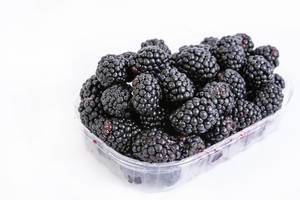 Fresh Blackberries in the plastic box isolated above white background