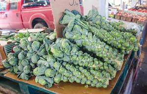 Fresh brusell sprout at the market