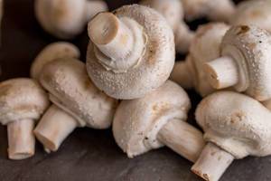 Fresh champignon mushrooms  Flip 2019