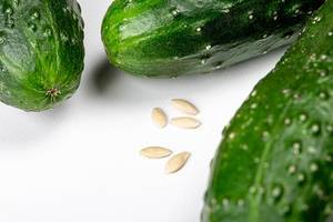Fresh cucumbers and their seeds on a white background (Flip 2020)