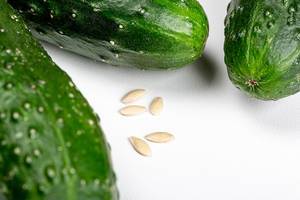 Fresh cucumbers and their seeds on a white background