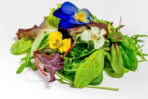 Fresh different lettuce leaves and flowers on white background (Flip 2019)