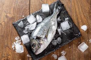 Fresh Dorado fish with ice cubes on wooden table