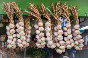 Fresh Garlic at the Market (Flip 2019)