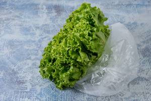 Fresh Green Lettuce in Plastic Bag with polution concept (Flip 2019)