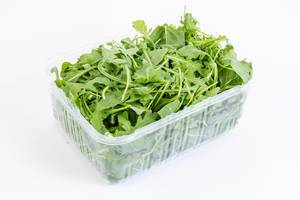Fresh Healthy Green Rucola in the box above white background