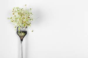 Fresh micro-green onions on a fork on a white background with free space (Flip 2020)