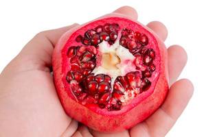 Fresh Pomegranate in the hand