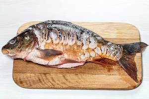 Fresh raw carp on kitchen Board (Flip 2019)