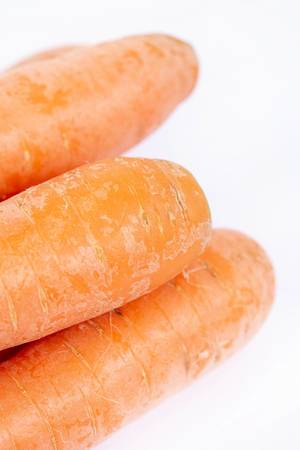 Fresh Raw Carrots with copy space