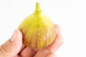 Fresh raw Fig in the hand