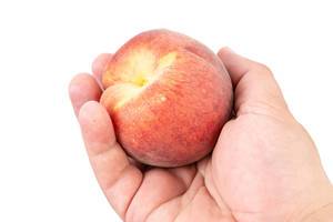 Fresh Raw Peach in the hand above white background (Flip 2019)