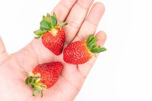 Fresh-Raw-Strawberries-in-the-hand-above-white-background.jpg