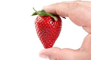 Fresh Red Strawberry in the hand (Flip 2019)