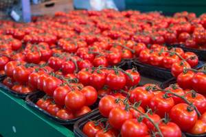 Fresh Red Tomatoes at The Market  (Flip 2019)