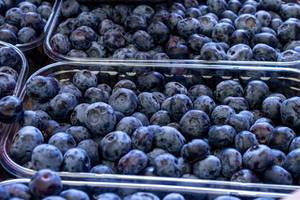 Fresh ripe blueberries (Flip 2019)