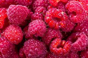 Fresh ripe raspberry background. Close up